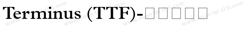 Terminus (TTF)字体转换